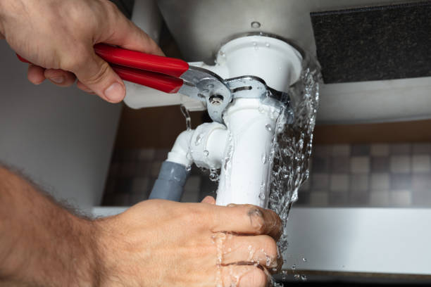 Best Water damage restoration near me  in Laurel, FL