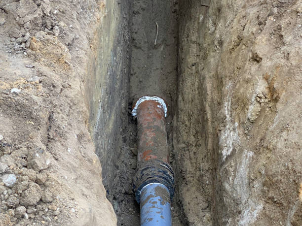 Best Sewage cleanup and water damage restoration  in Laurel, FL