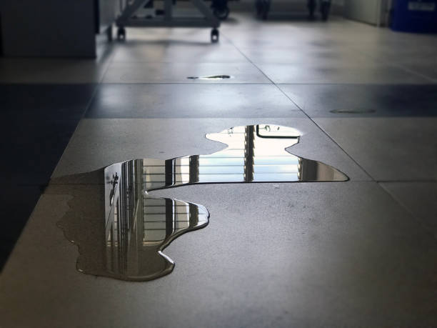 Best Water damage restoration near me  in Laurel, FL