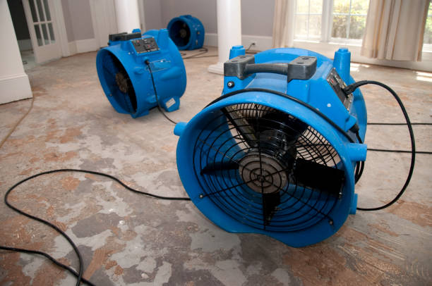 Best Flood restoration services  in Laurel, FL