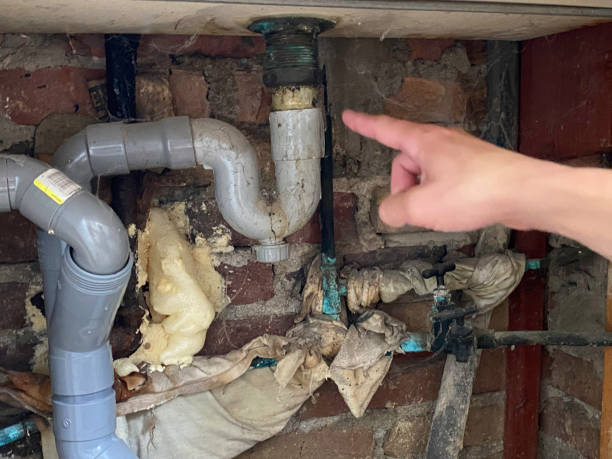 Professional Water damage restoration in FL