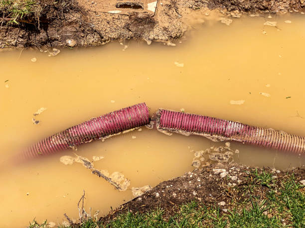 Best 24/7 water damage repair  in Laurel, FL