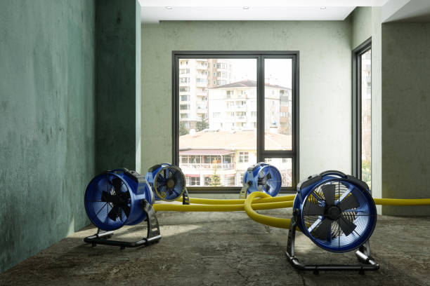 Best 24-hour water damage restoration  in Laurel, FL