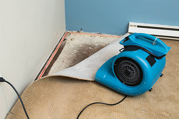 Best Flooded house restoration  in Laurel, FL